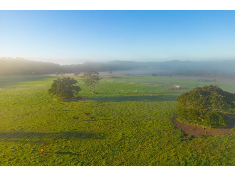 Abbotts Falls Road, Wingham NSW 2429