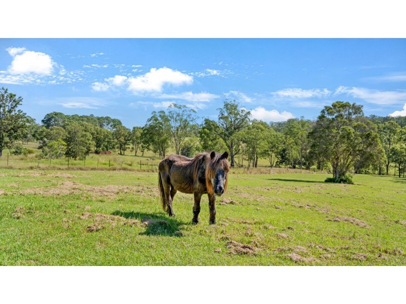 83 Skyline Drive, Wingham NSW 2429