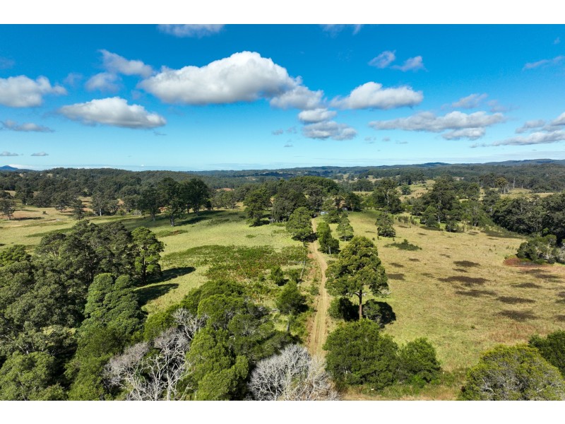 355 Doyles River Road, Elands NSW 2429