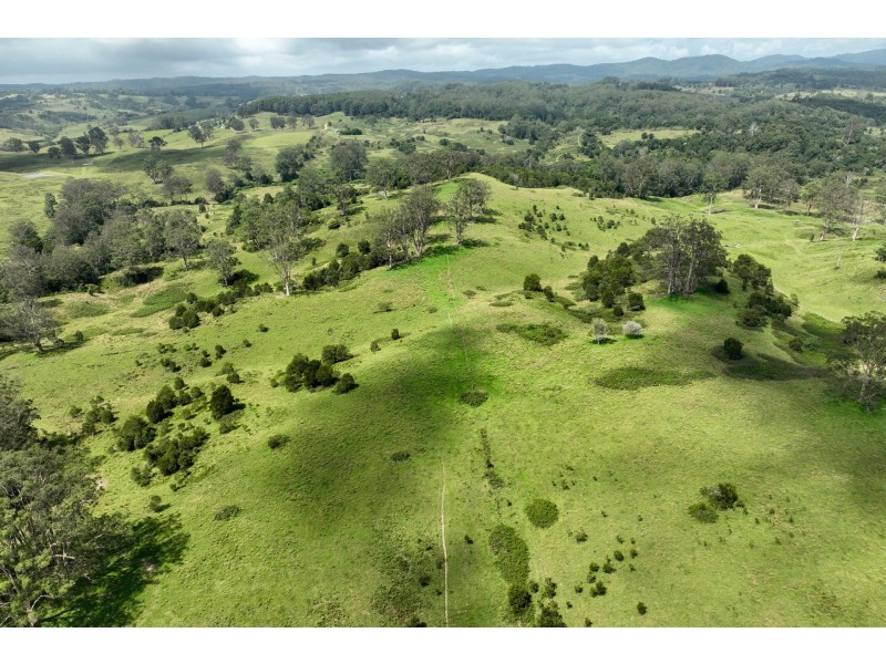 355 Doyles River Road, Elands NSW 2429