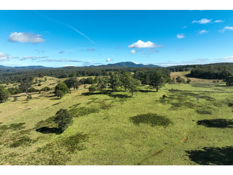 355 Doyles River Road, Elands NSW 2429