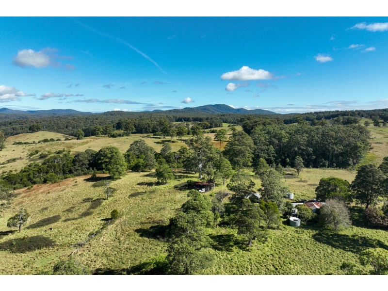 355 Doyles River Road, Elands NSW 2429