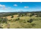 355 Doyles River Road, Elands NSW 2429