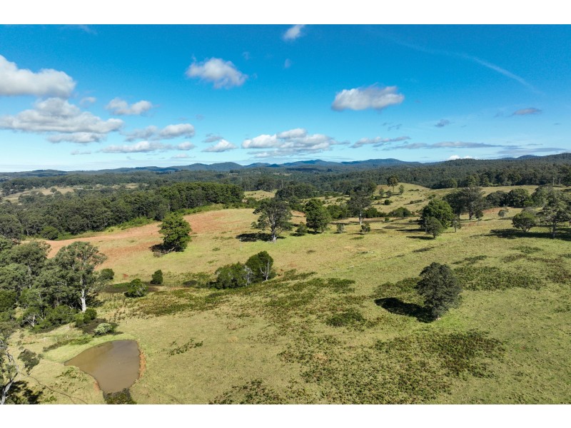 355 Doyles River Road, Elands NSW 2429