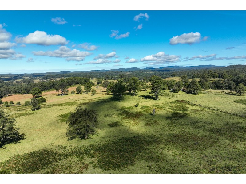 355 Doyles River Road, Elands NSW 2429