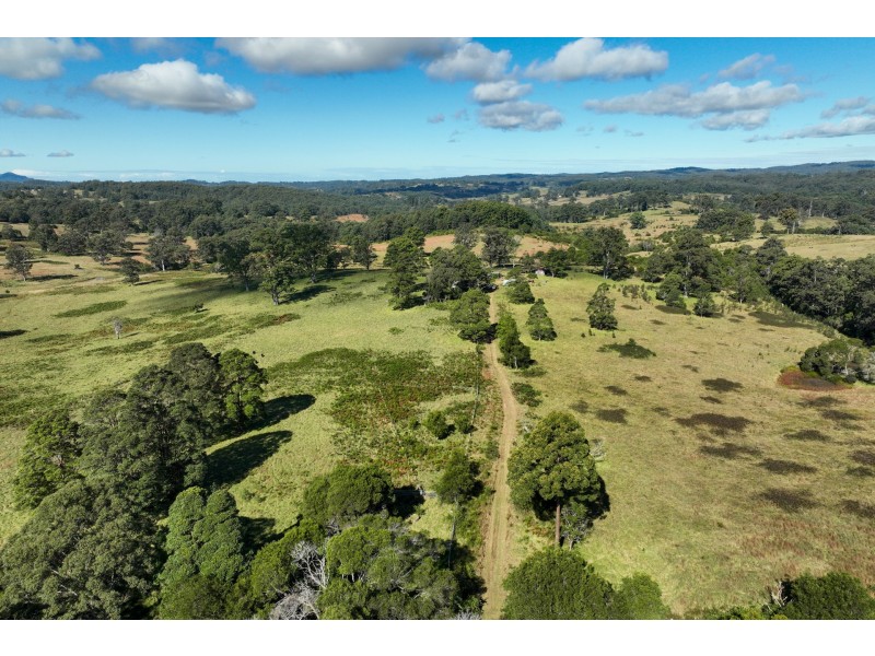 355 Doyles River Road, Elands NSW 2429