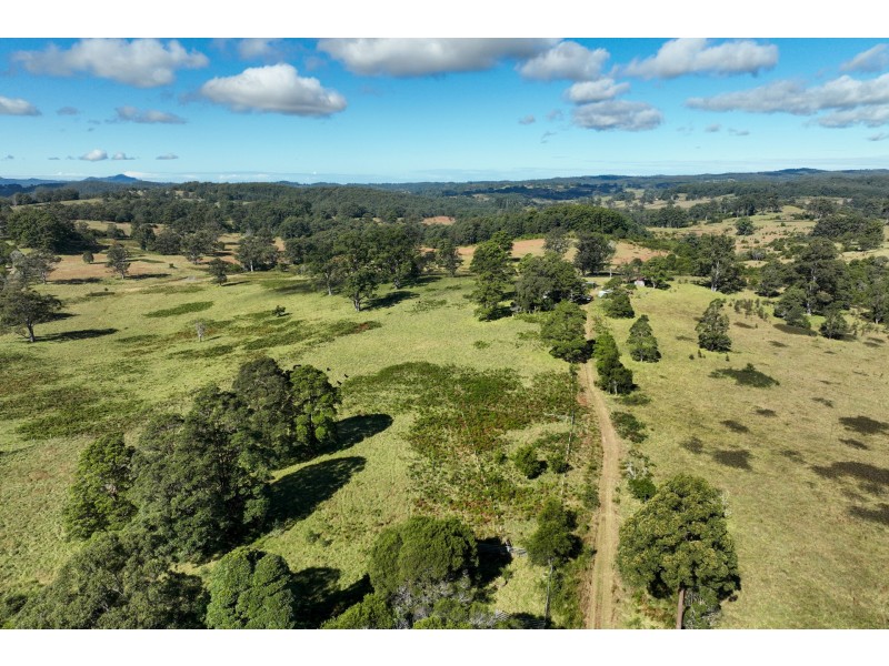 355 Doyles River Road, Elands NSW 2429