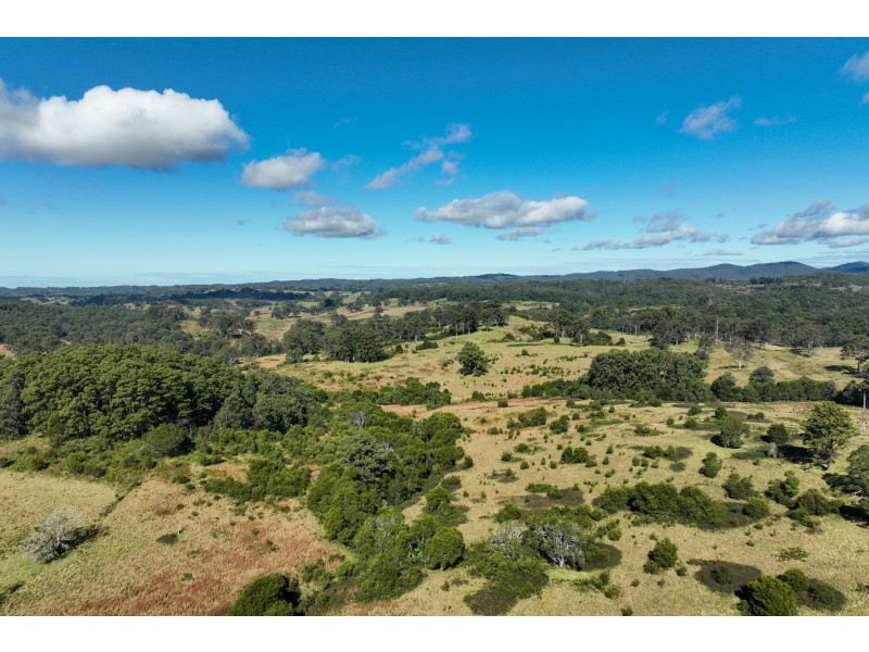 355 Doyles River Road, Elands NSW 2429