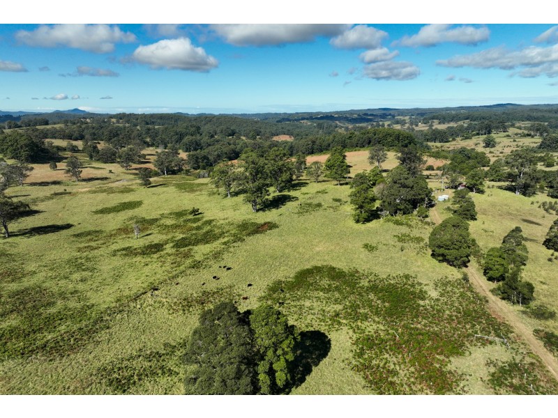 355 Doyles River Road, Elands NSW 2429