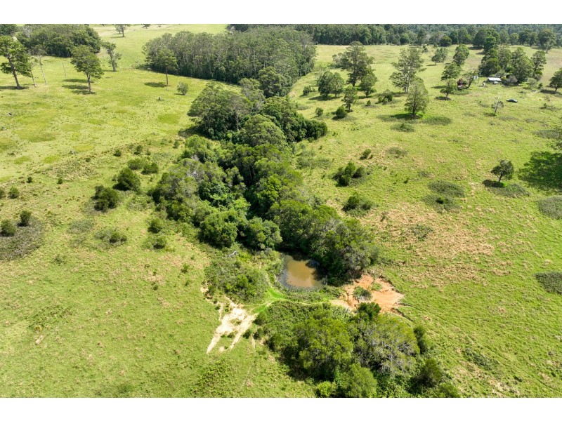 355 Doyles River Road, Elands NSW 2429