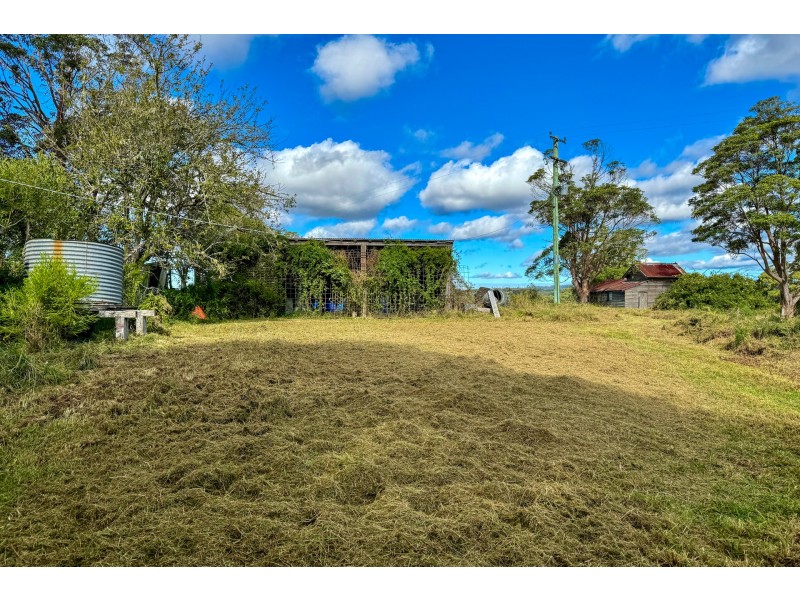 355 Doyles River Road, Elands NSW 2429