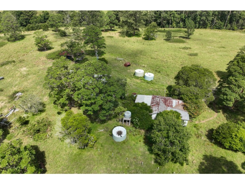 355 Doyles River Road, Elands NSW 2429