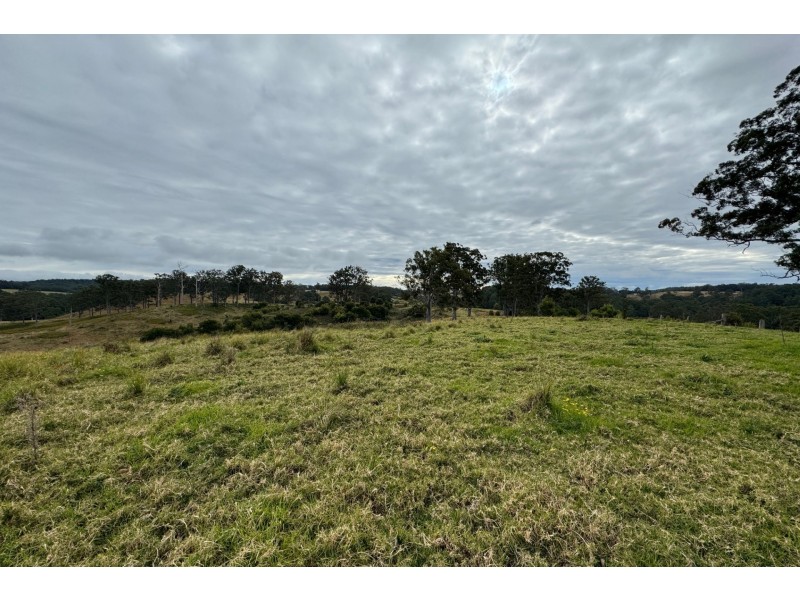 355 Doyles River Road, Elands NSW 2429
