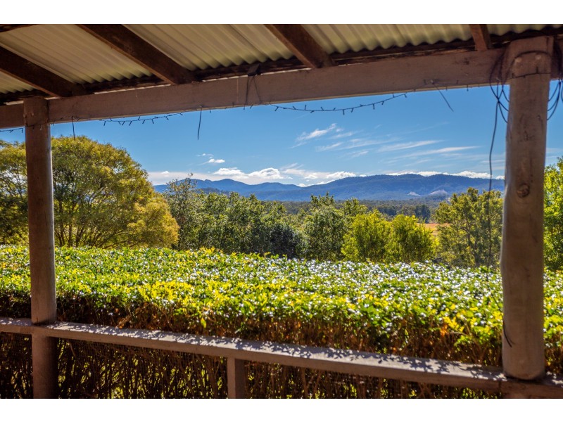 231 Stony Creek Road, Kimbriki NSW 2429