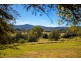231 Stony Creek Road, Kimbriki NSW 2429