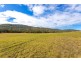 292 Beitibombi Creek Road, Wherrol Flat NSW 2429