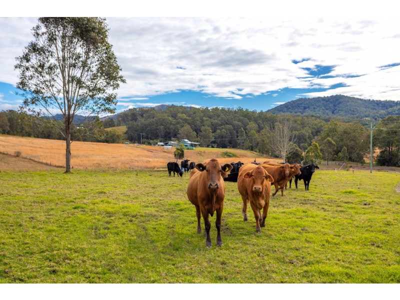 292 Beitibombi Creek Road, Wherrol Flat NSW 2429