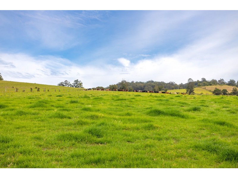 154 Warrawillah Road, Marlee NSW 2429