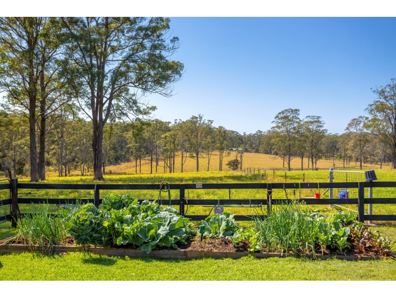 872 Cedar Party Road, Cedar Party NSW 2429