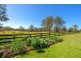 872 Cedar Party Road, Cedar Party NSW 2429