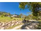 219 Beetons Road, Caffreys Flat NSW 2424