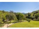 219 Beetons Road, Caffreys Flat NSW 2424