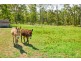 9 Wynters Road, Burrell Creek NSW 2429