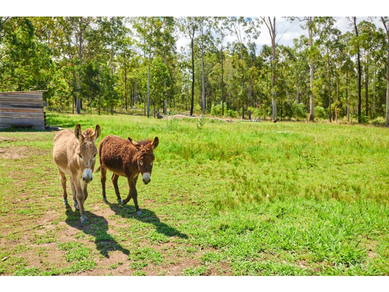 9 Wynters Road, Burrell Creek NSW 2429