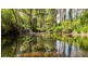 183 Bobin Creek Road, Bobin NSW 2429