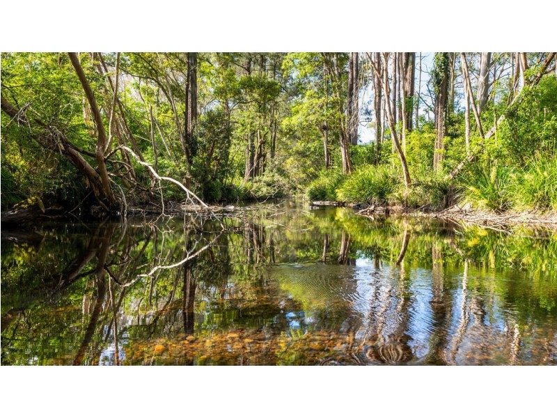 183 Bobin Creek Road, Bobin NSW 2429