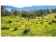 183 Bobin Creek Road, Bobin NSW 2429