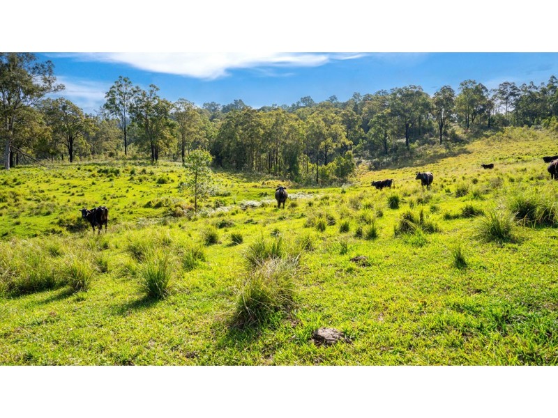 183 Bobin Creek Road, Bobin NSW 2429