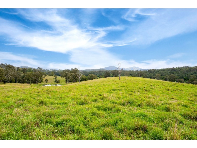 1 Bimbadeen Road, Wherrol Flat NSW 2429