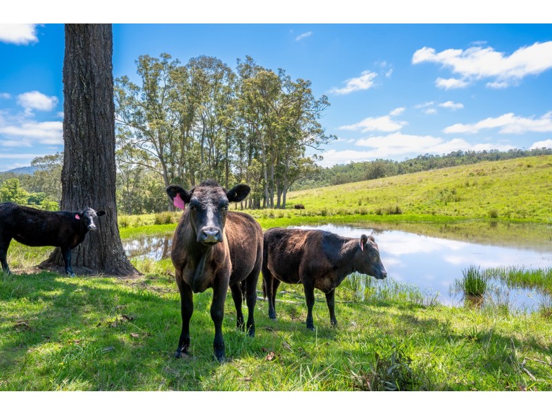 1 Bimbadeen Road, Wherrol Flat NSW 2429