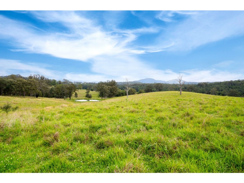 1 Bimbadeen Road, Wherrol Flat NSW 2429