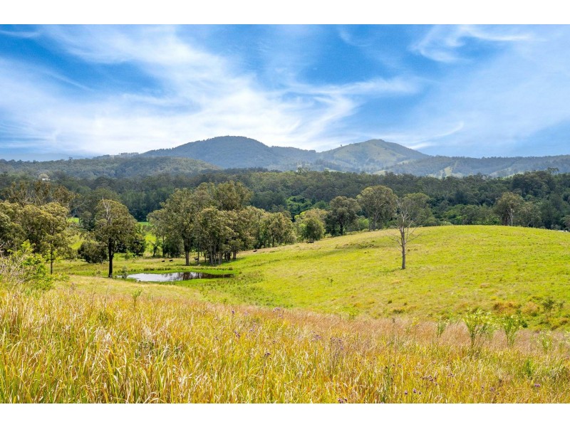 1 Bimbadeen Road, Wherrol Flat NSW 2429