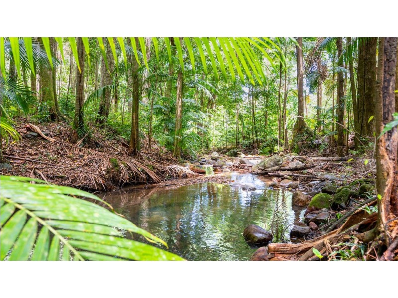 183 Killabakh Creek Road, Killabakh NSW 2429