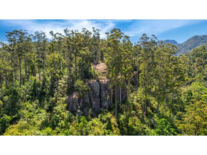 183 Killabakh Creek Road, Killabakh NSW 2429