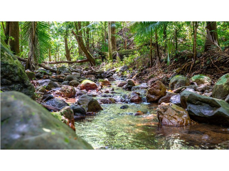 183 Killabakh Creek Road, Killabakh NSW 2429