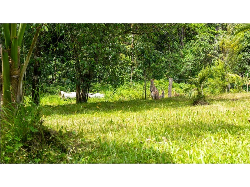 183 Killabakh Creek Road, Killabakh NSW 2429