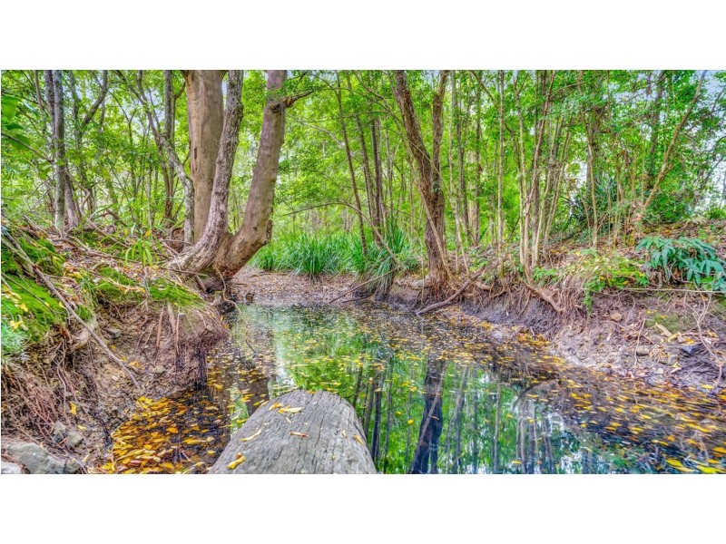 16 Rosella Drive, Wingham NSW 2429