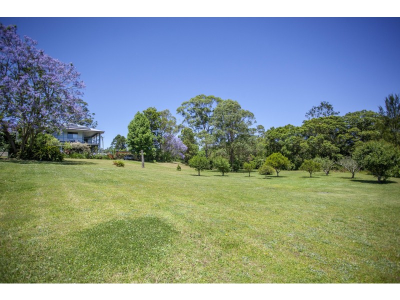 17-19 West Appletree Street, Wingham NSW 2429