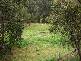 Mooral Creek NSW 2429