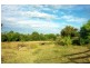 Wingham NSW 2429