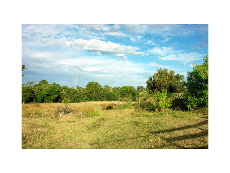 Wingham NSW 2429