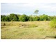 Wingham NSW 2429