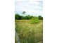 Wingham NSW 2429