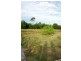 Wingham NSW 2429