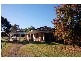 Wingham NSW 2429