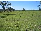 Wingham NSW 2429